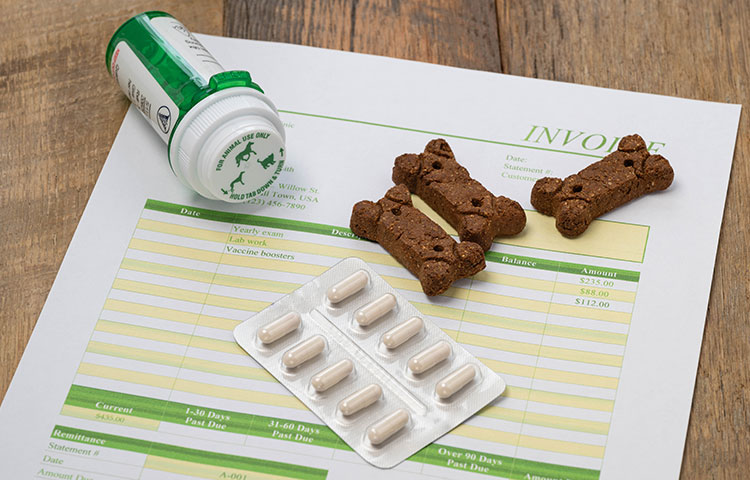 Close up of vet bill invoice with medicines and dog biscuits.