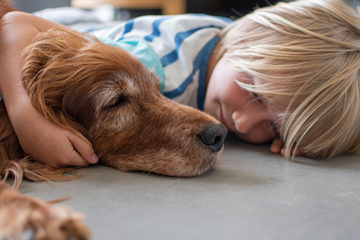 A young blonde boy lies side-by-side his old dog on the floor
