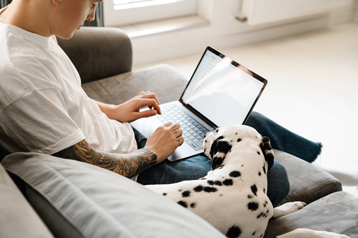A young man with tattoos sits at his laptop checking pet insurance premiums while his dalmation sits beside him