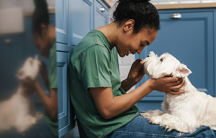 Veterinarian in green scrubs gently examining a small white dog in a clinic setting.