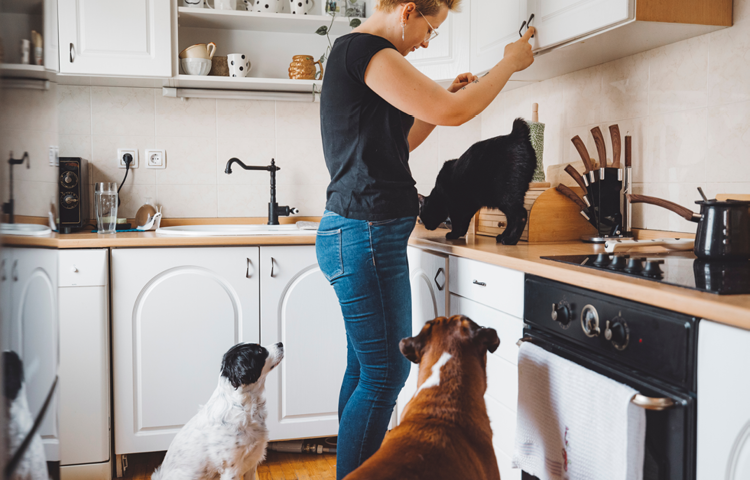 Woman preparing food for dogs
